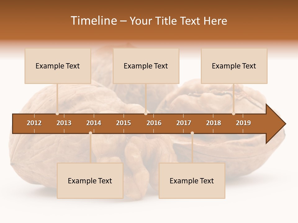 Nutty Seasonal Brain PowerPoint Template