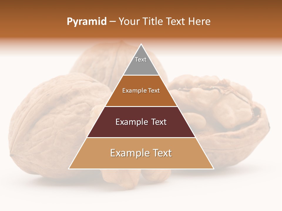 Nutty Seasonal Brain PowerPoint Template