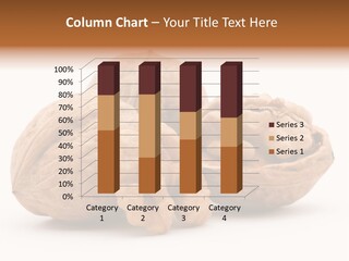 Nutty Seasonal Brain PowerPoint Template