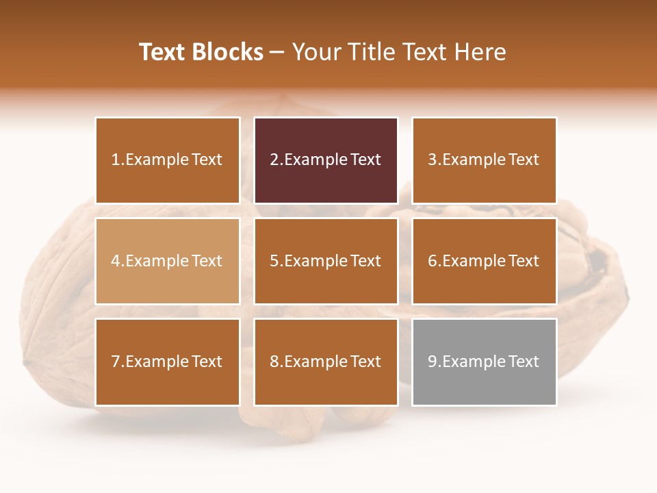 Nutty Seasonal Brain PowerPoint Template