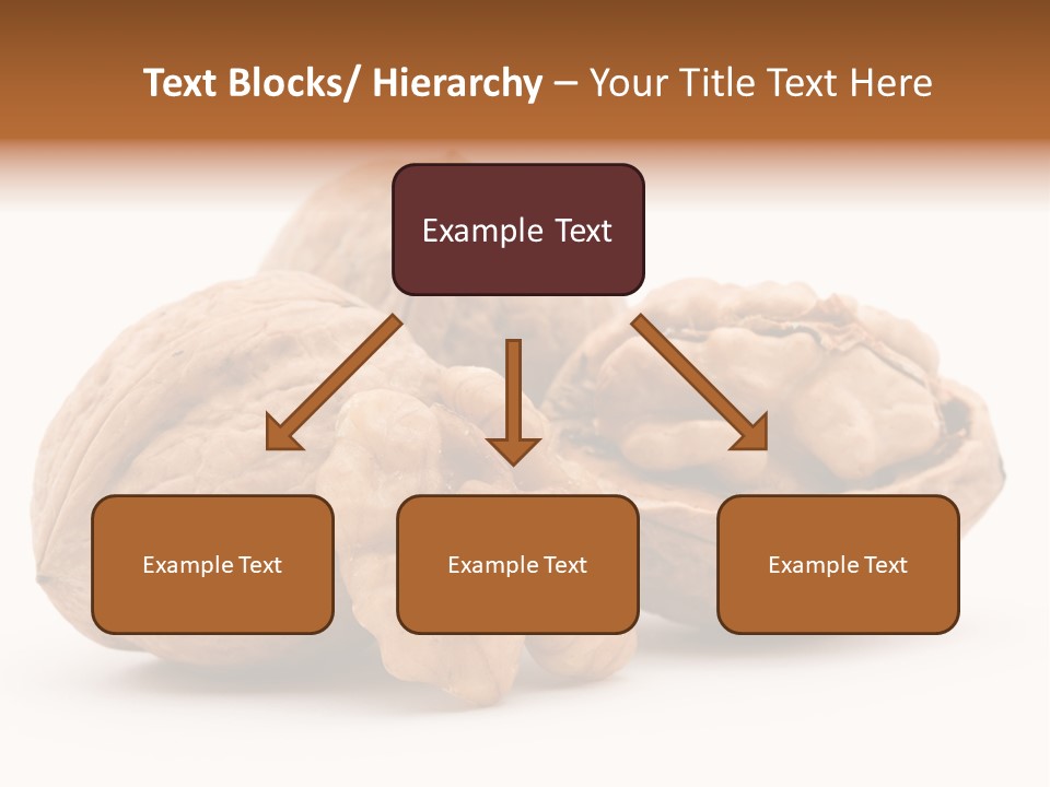Nutty Seasonal Brain PowerPoint Template