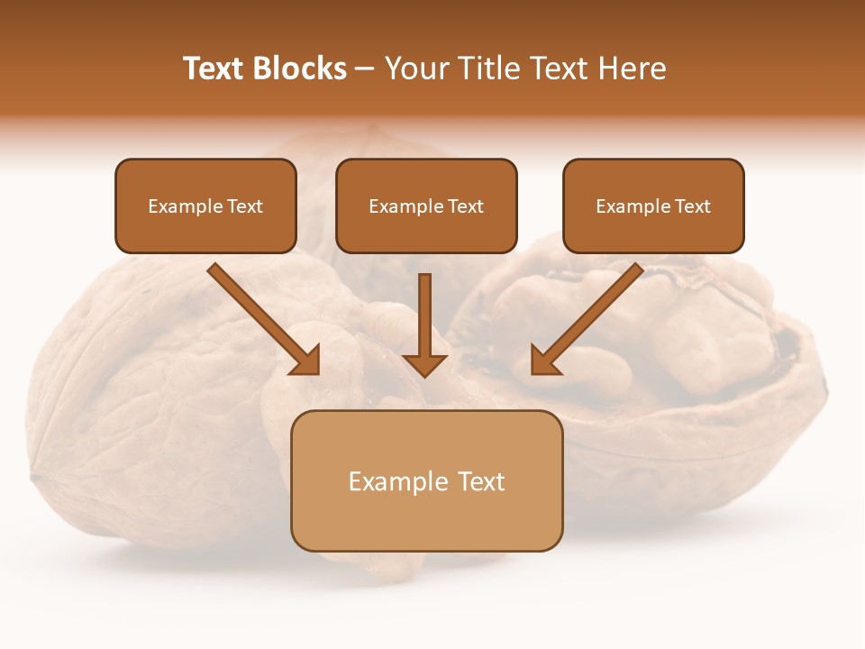 Nutty Seasonal Brain PowerPoint Template