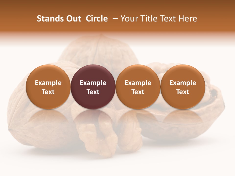Nutty Seasonal Brain PowerPoint Template