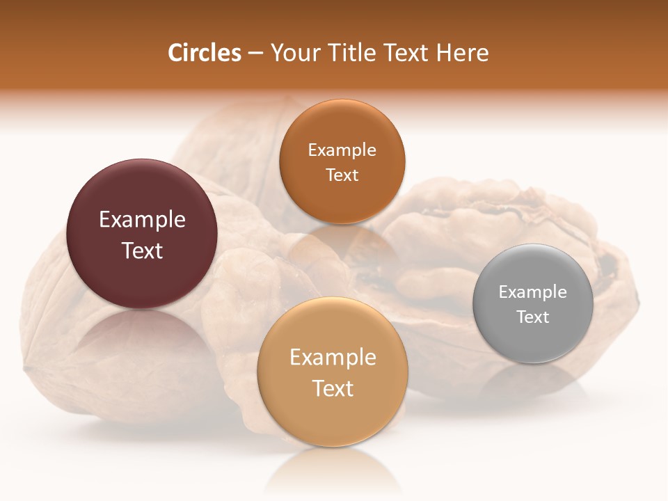 Nutty Seasonal Brain PowerPoint Template