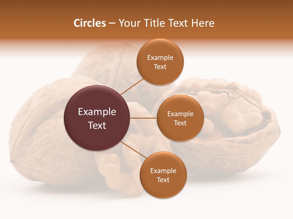 Nutty Seasonal Brain PowerPoint Template