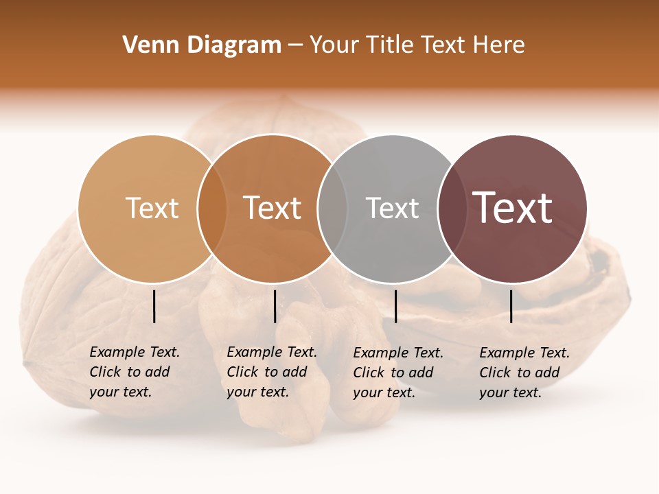 Nutty Seasonal Brain PowerPoint Template