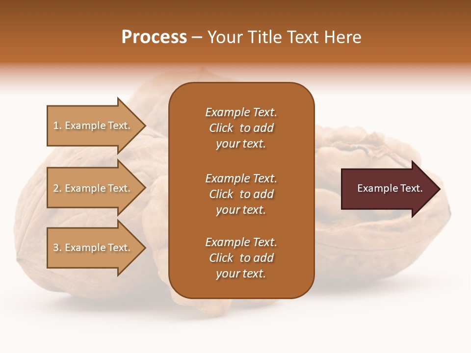 Nutty Seasonal Brain PowerPoint Template
