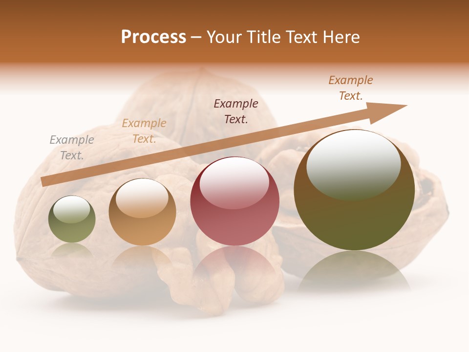 Nutty Seasonal Brain PowerPoint Template