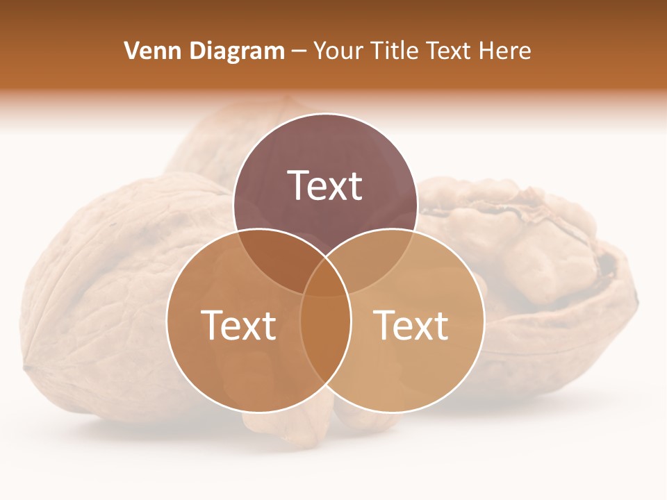 Nutty Seasonal Brain PowerPoint Template