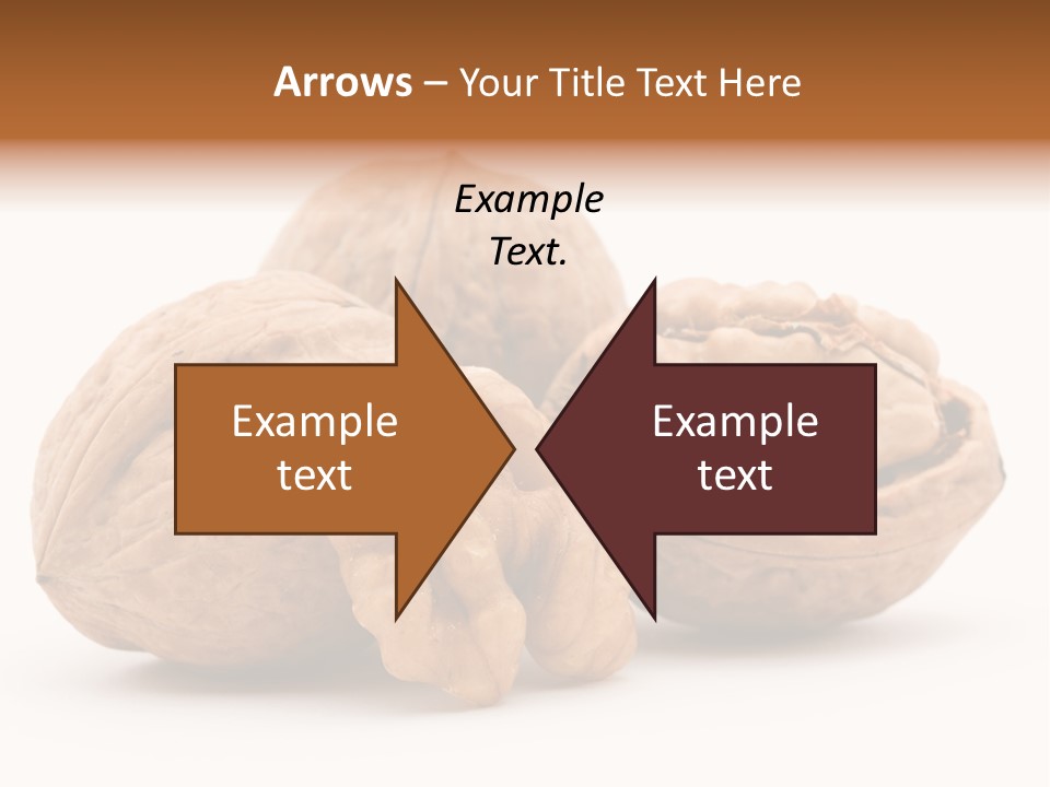 Nutty Seasonal Brain PowerPoint Template