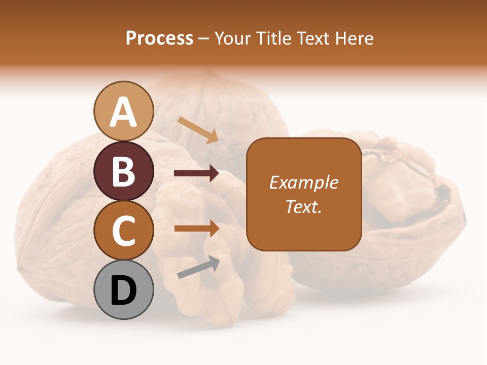 Nutty Seasonal Brain PowerPoint Template