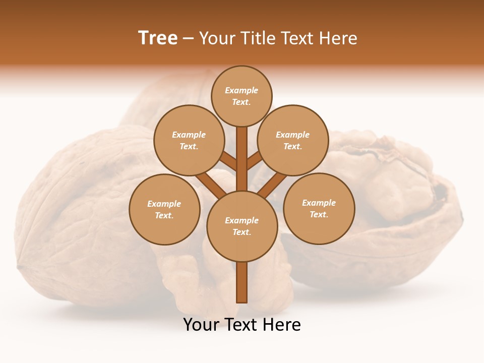 Nutty Seasonal Brain PowerPoint Template
