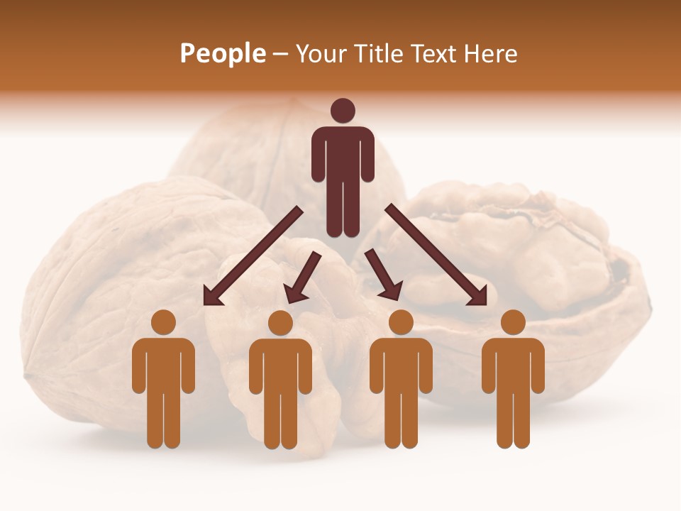 Nutty Seasonal Brain PowerPoint Template