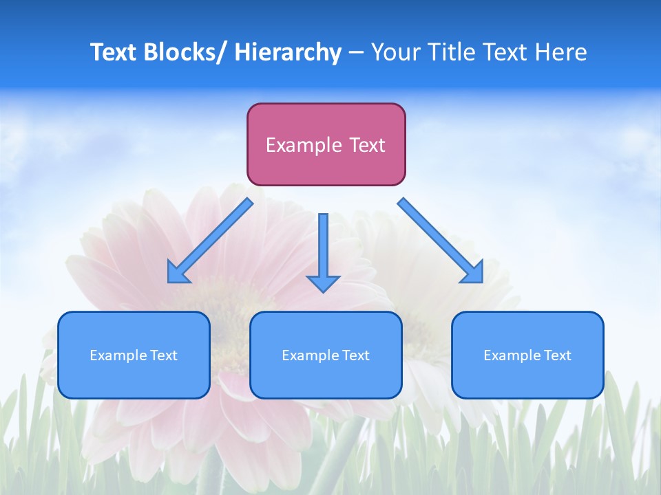 Sky Romance Close Up PowerPoint Template