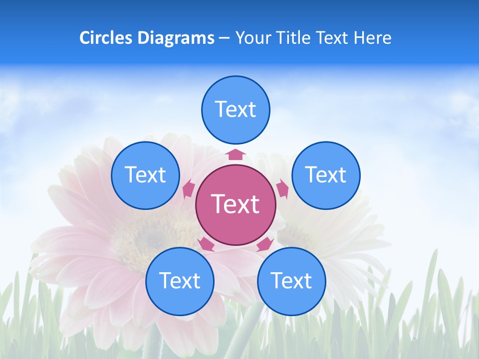 Sky Romance Close Up PowerPoint Template