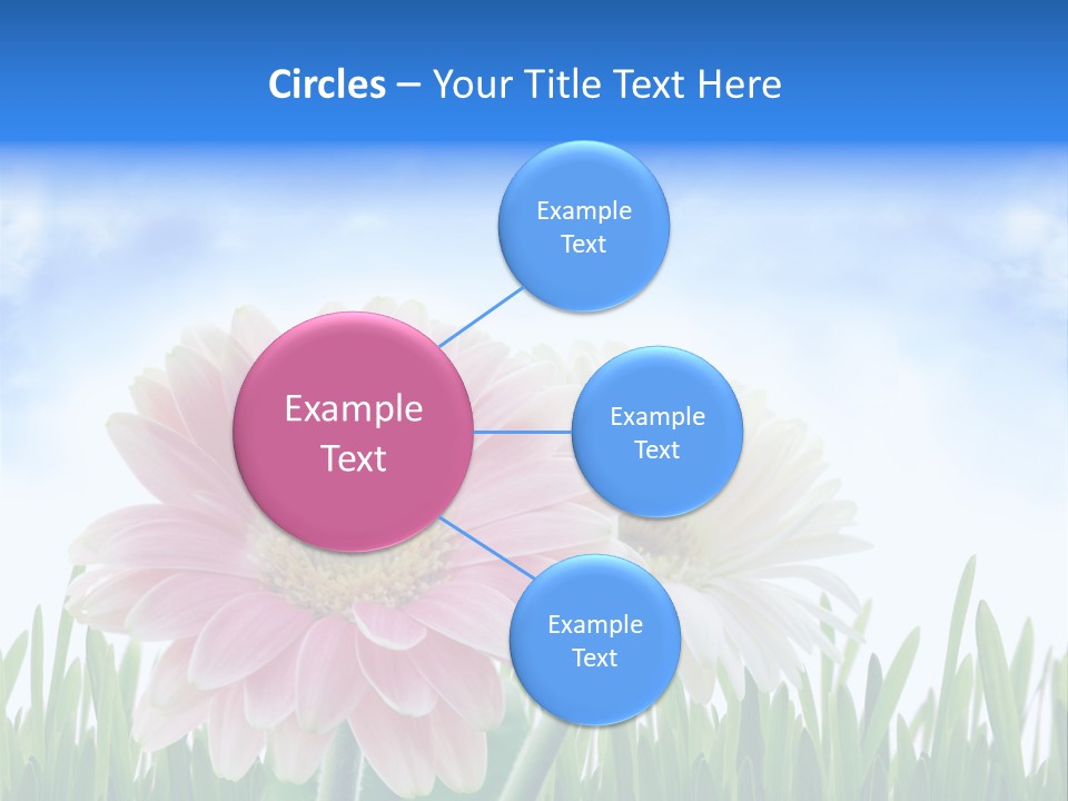Sky Romance Close Up PowerPoint Template
