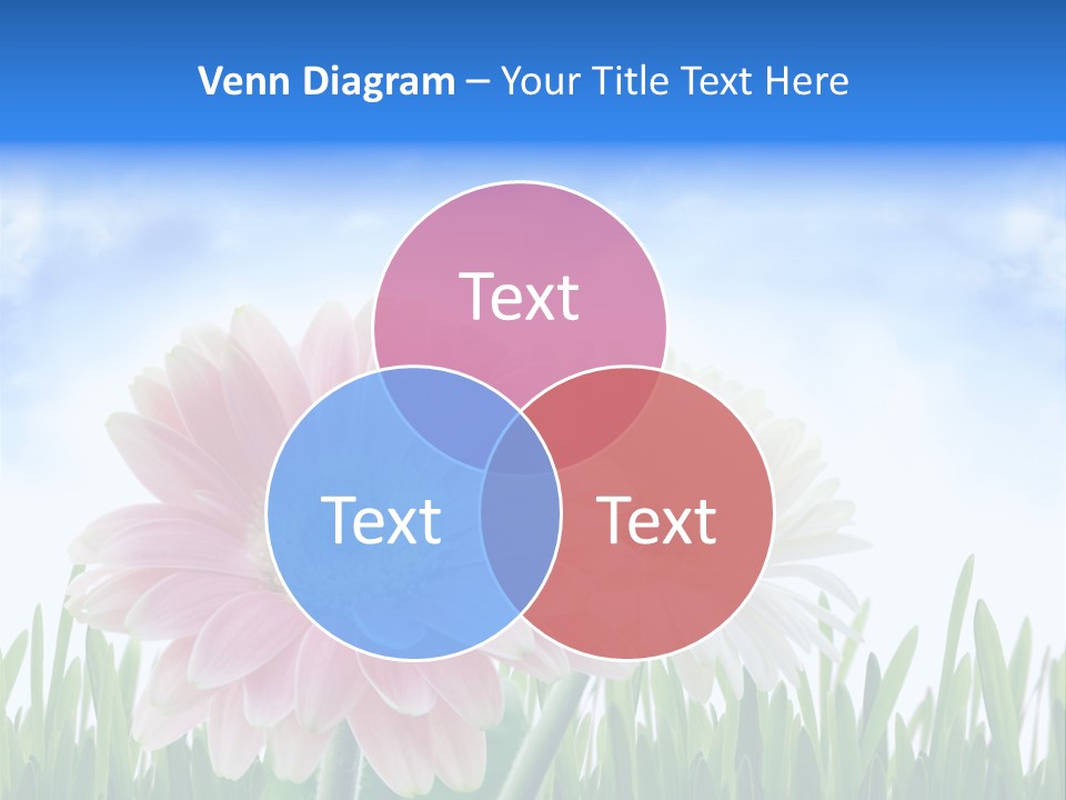 Sky Romance Close Up PowerPoint Template