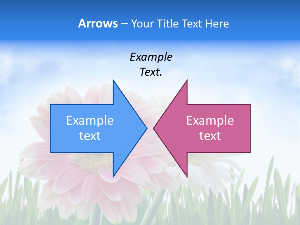 Sky Romance Close Up PowerPoint Template