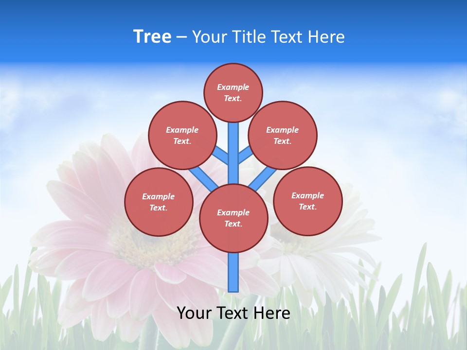 Sky Romance Close Up PowerPoint Template