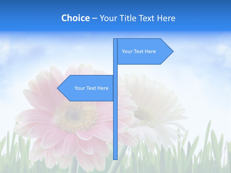 Sky Romance Close Up PowerPoint Template