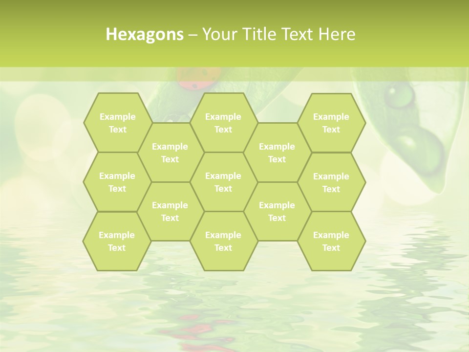 Water Natural Grass PowerPoint Template