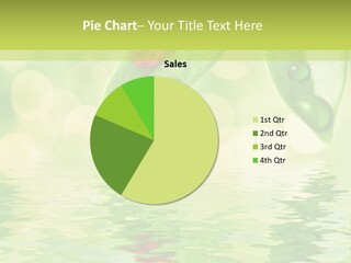 Water Natural Grass PowerPoint Template