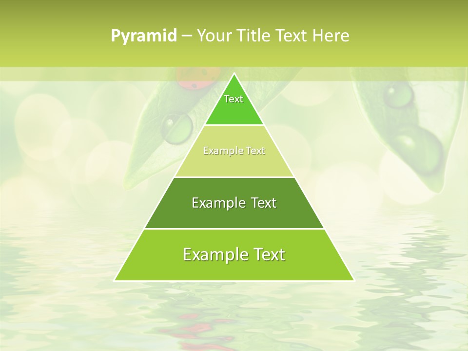 Water Natural Grass PowerPoint Template