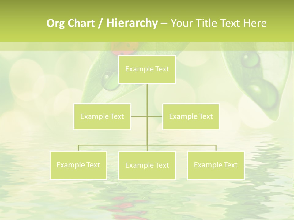 Water Natural Grass PowerPoint Template