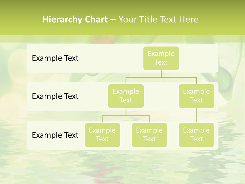 Water Natural Grass PowerPoint Template