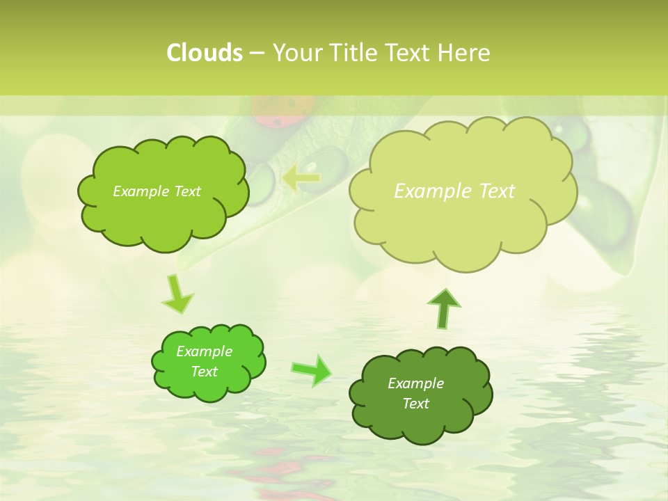 Water Natural Grass PowerPoint Template