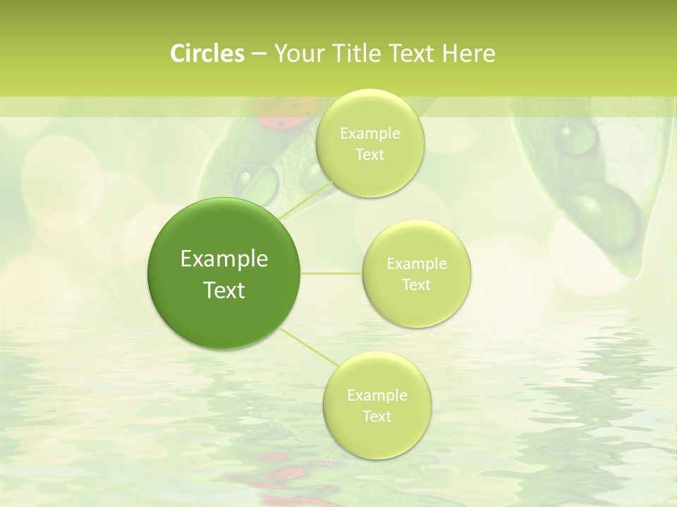 Water Natural Grass PowerPoint Template