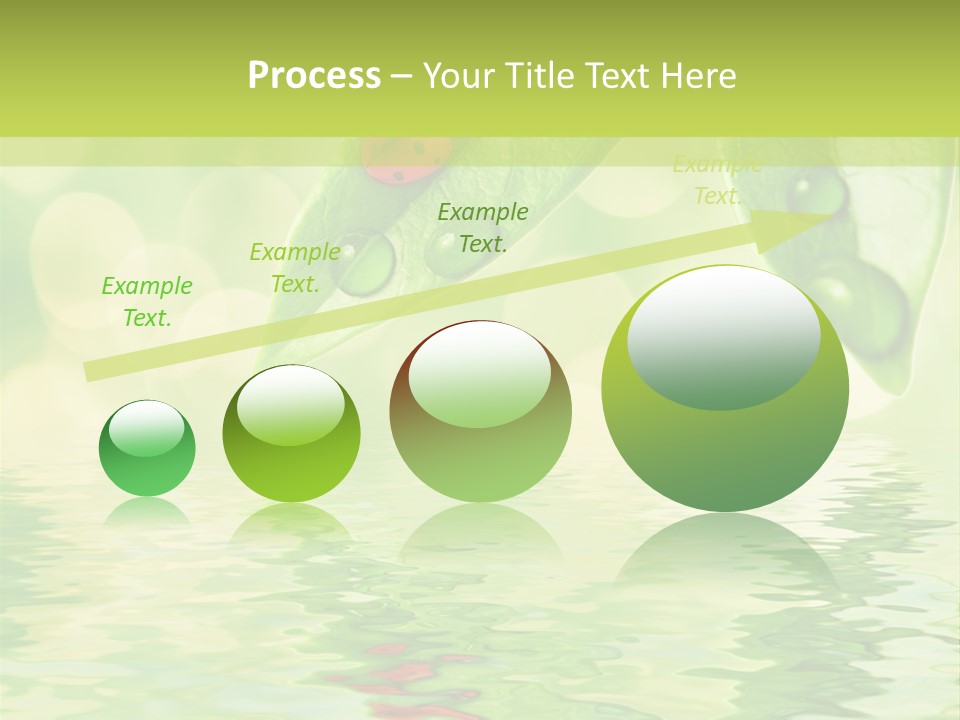 Water Natural Grass PowerPoint Template