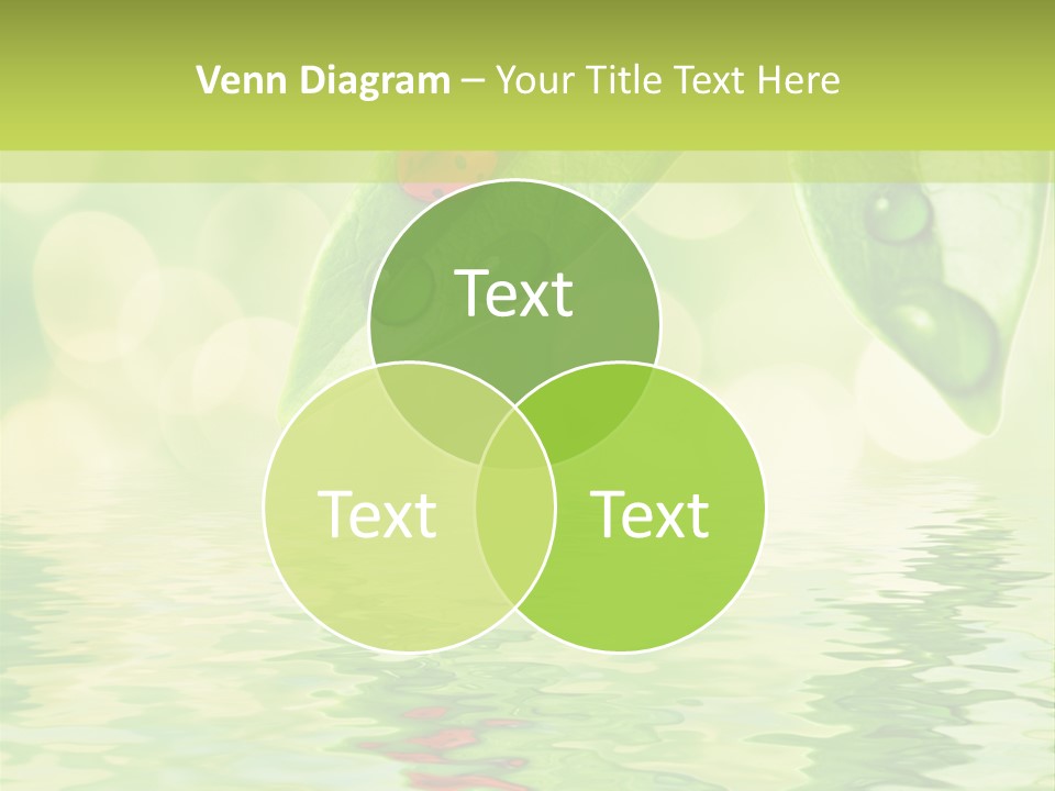Water Natural Grass PowerPoint Template