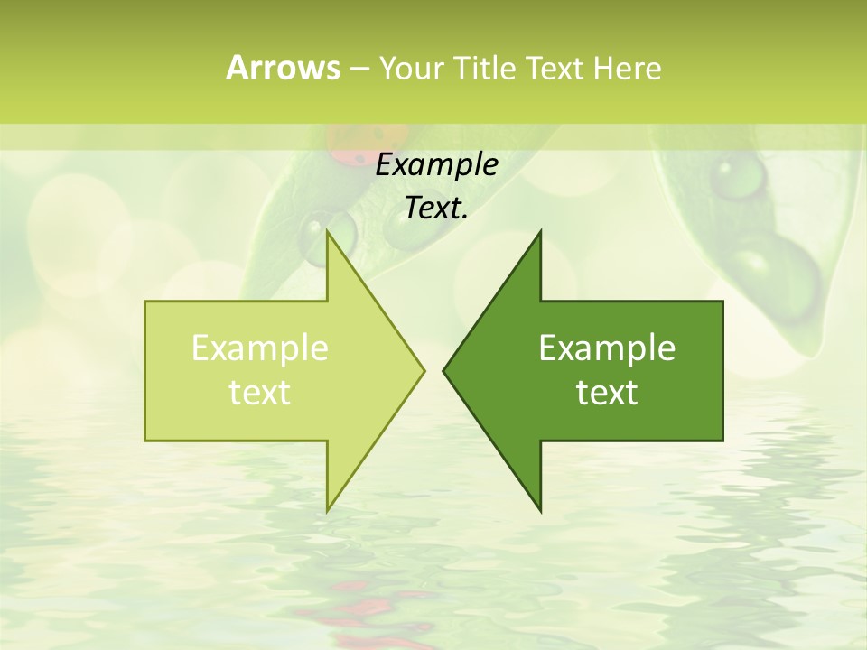 Water Natural Grass PowerPoint Template