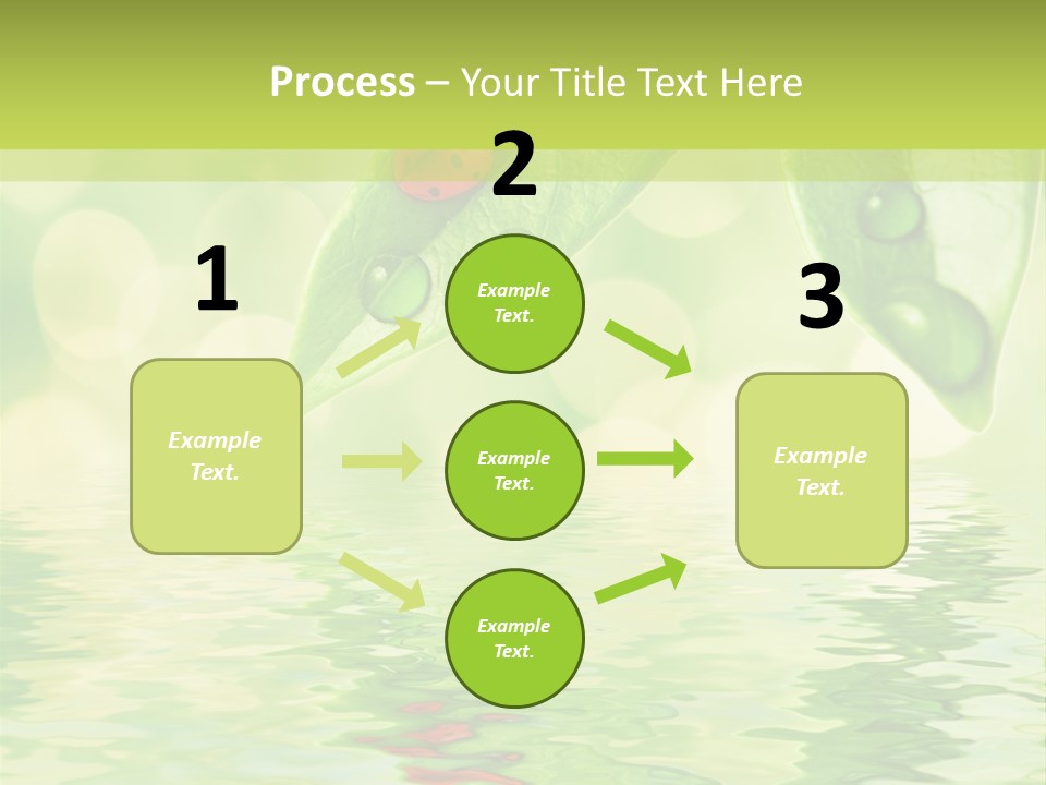 Water Natural Grass PowerPoint Template
