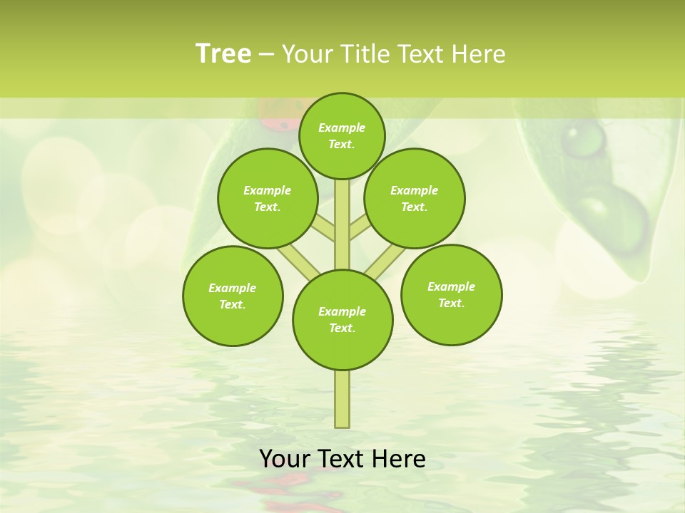 Water Natural Grass PowerPoint Template