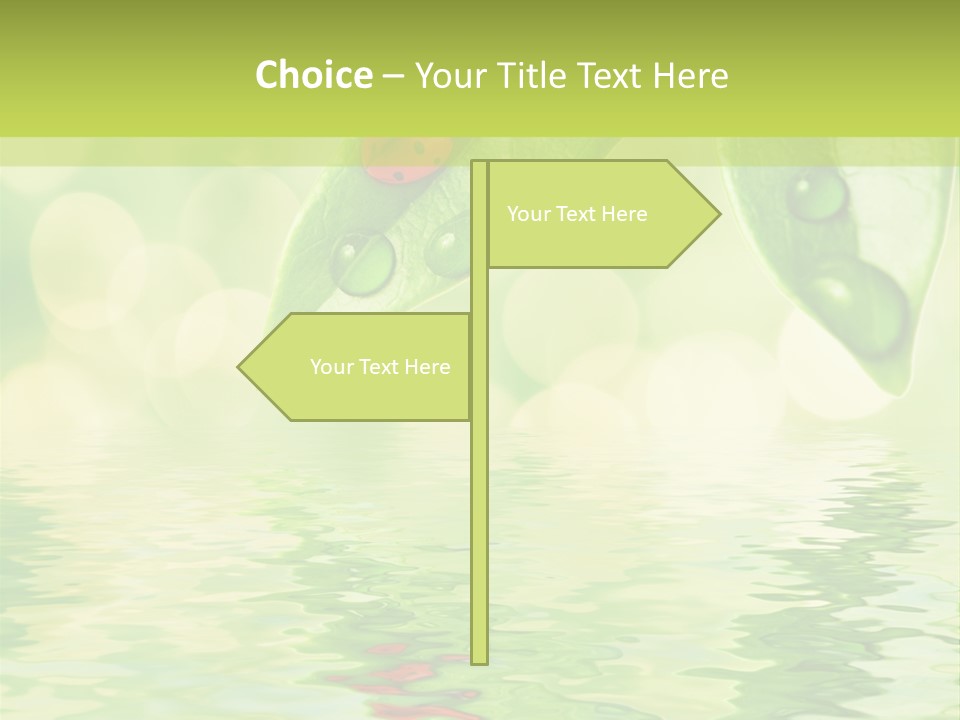 Water Natural Grass PowerPoint Template