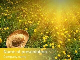 Environment Beautiful Orange PowerPoint Template