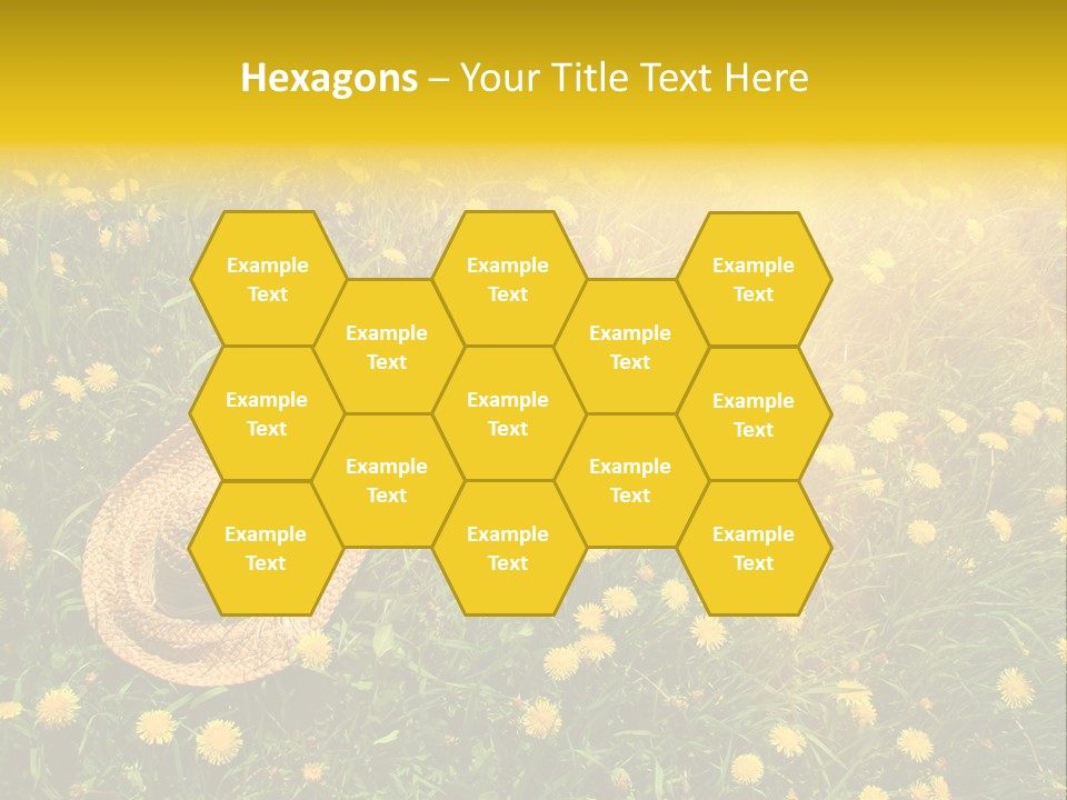 Environment Beautiful Orange PowerPoint Template