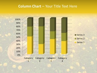 Environment Beautiful Orange PowerPoint Template