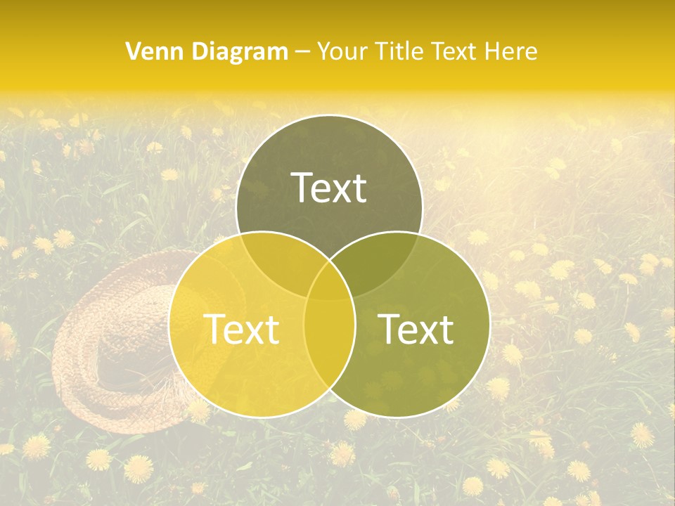 Environment Beautiful Orange PowerPoint Template