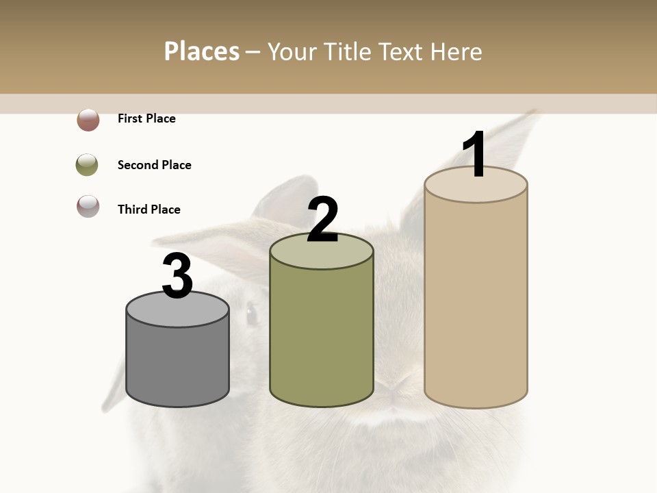 Easter Fluffy Rabbit PowerPoint Template