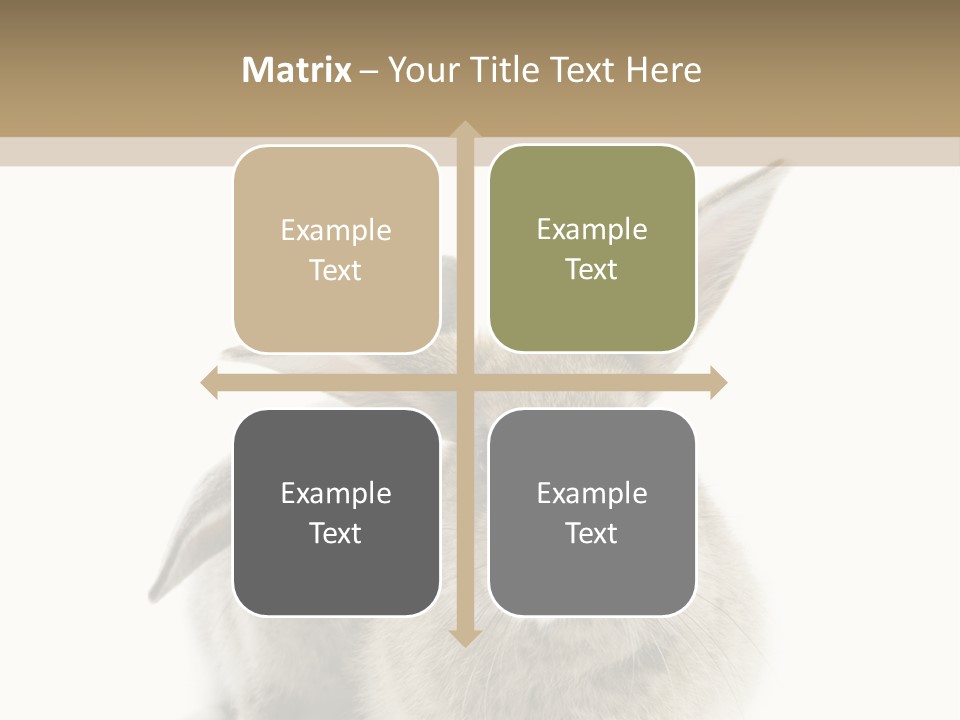 Easter Fluffy Rabbit PowerPoint Template