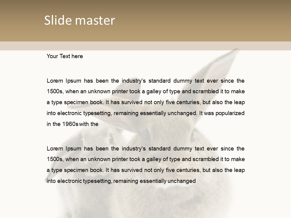 Easter Fluffy Rabbit PowerPoint Template