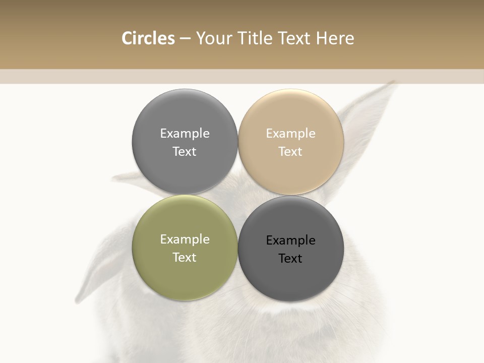 Easter Fluffy Rabbit PowerPoint Template