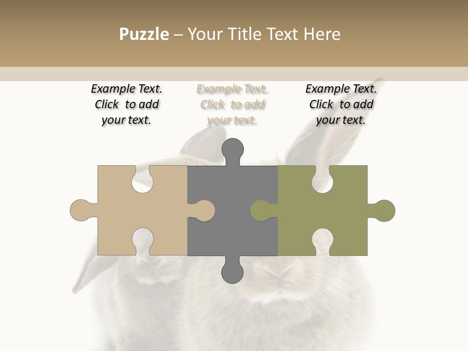 Easter Fluffy Rabbit PowerPoint Template