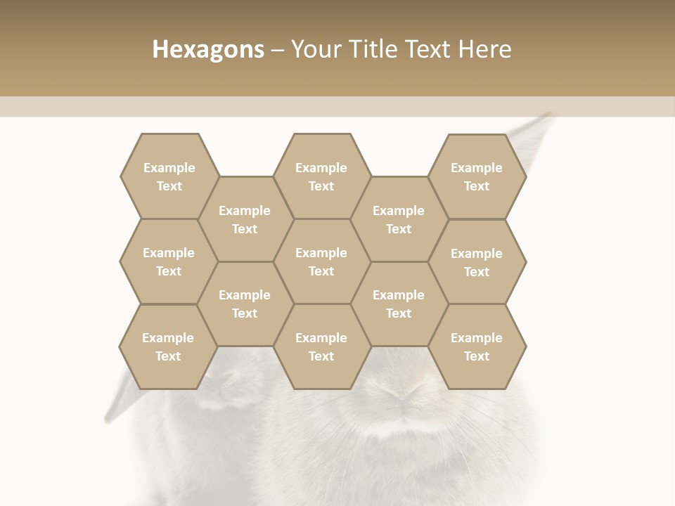 Easter Fluffy Rabbit PowerPoint Template