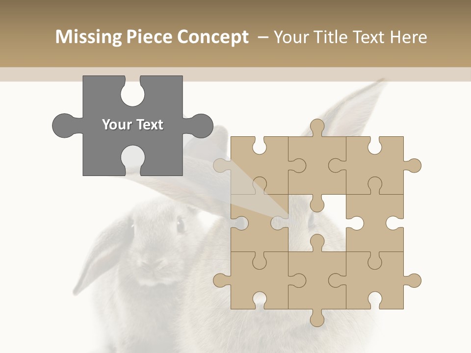Easter Fluffy Rabbit PowerPoint Template