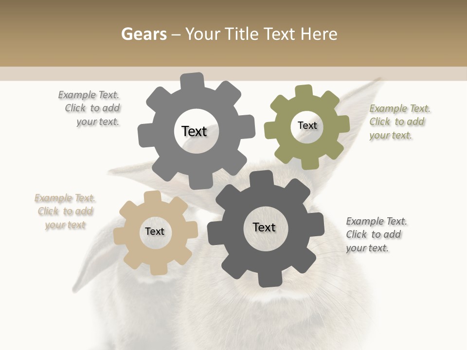 Easter Fluffy Rabbit PowerPoint Template