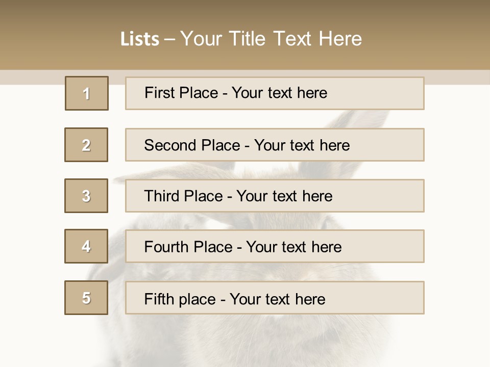 Easter Fluffy Rabbit PowerPoint Template